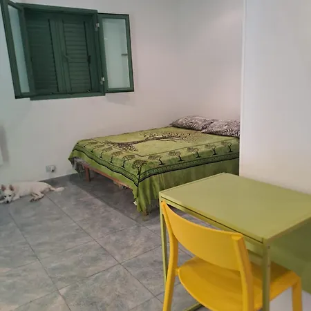 Monolocale Carrara